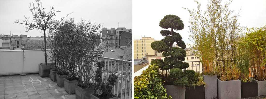 Avant - Après : Aménagement paysagé d'une terrasse avec vue à Paris